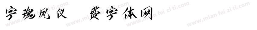 字魂凤仪字体转换
