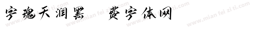 字魂天润黑字体转换