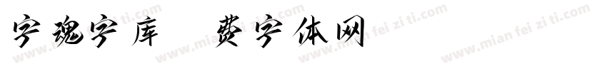 字魂字库字体转换