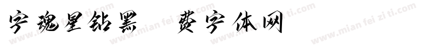 字魂星钻黑字体转换