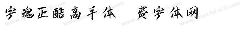 字魂正酷高手体字体转换