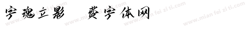 字魂立影字体转换