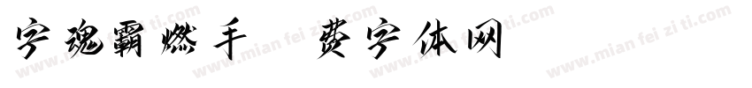 字魂霸燃手字体转换