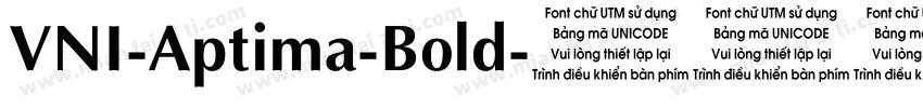 VNI-Aptima-Bold字体转换