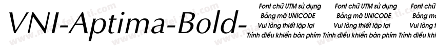 VNI-Aptima-Bold字体转换