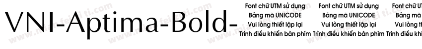 VNI-Aptima-Bold字体转换
