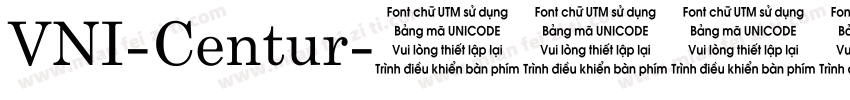 VNI-Centur字体转换