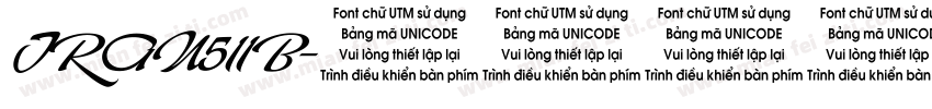 TRAN511B字体转换