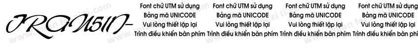 TRAN511I字体转换