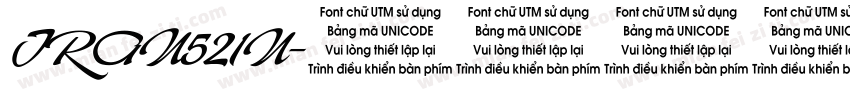 TRAN521N字体转换