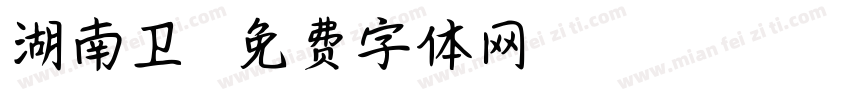 湖南卫视字体转换