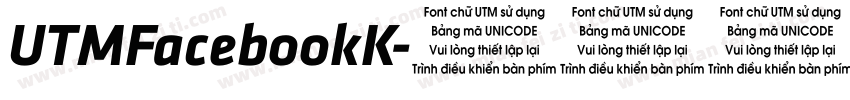 UTMFacebookK字体转换