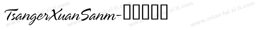 TsangerXuanSanm字体转换