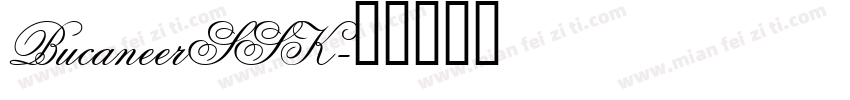 BucaneerSSK字体转换