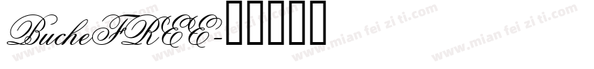 BucheFREE字体转换