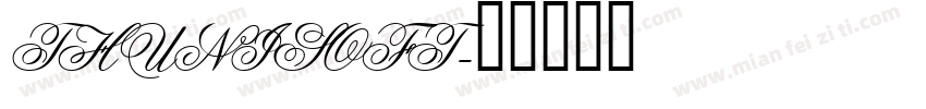 THUNISOFT字体转换