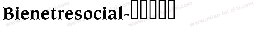 Bienetresocial字体转换
