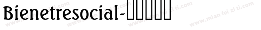 Bienetresocial字体转换