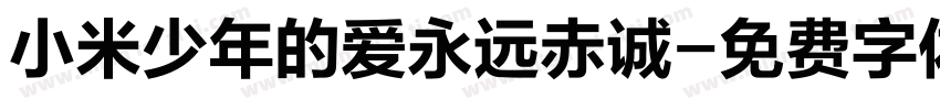小米少年的爱永远赤诚字体转换