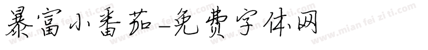 暴富小番茄字体转换