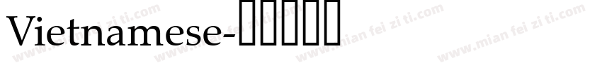 Vietnamese字体转换