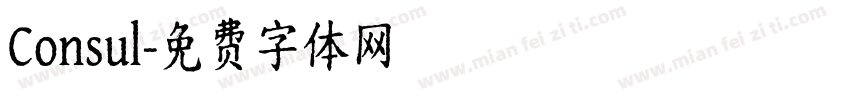 Consul字体转换