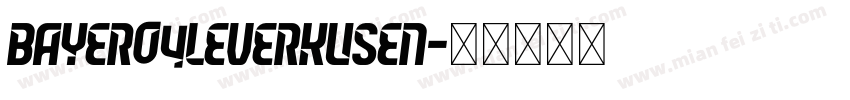 Bayer04Leverkusen字体转换