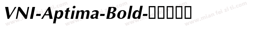 VNI-Aptima-Bold字体转换