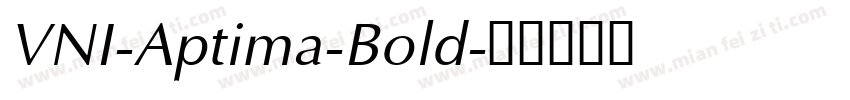 VNI-Aptima-Bold字体转换