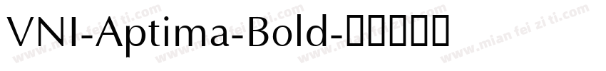 VNI-Aptima-Bold字体转换