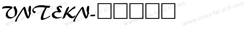 VNTEKN字体转换