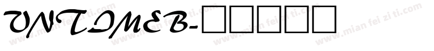 VNTIMEB字体转换