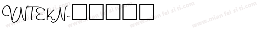 VNTEKN字体转换