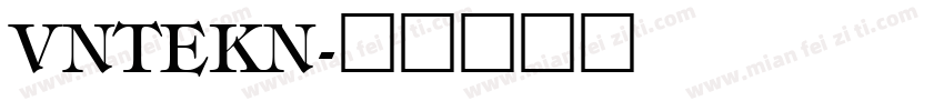 VNTEKN字体转换