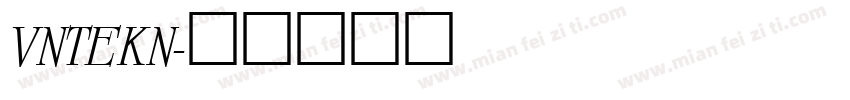 VNTEKN字体转换