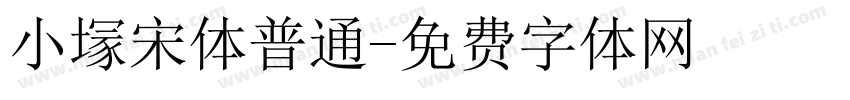 小塜宋体普通字体转换