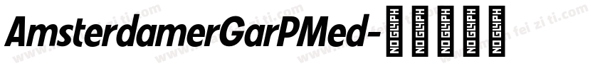 AmsterdamerGarPMed字体转换