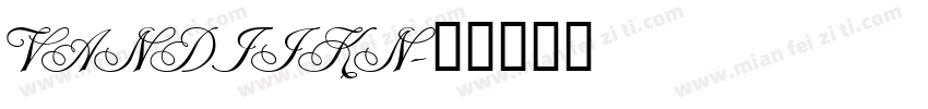 VANDIJKN字体转换