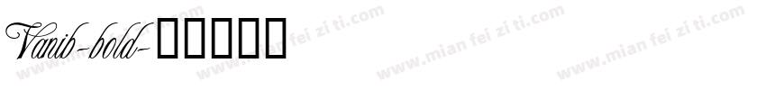 Vanib-bold字体转换