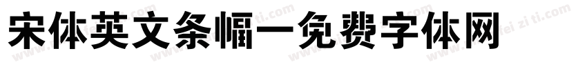 宋体英文条幅字体转换