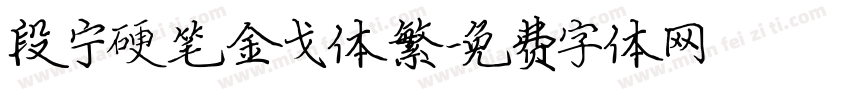 段宁硬笔金戈体繁字体转换