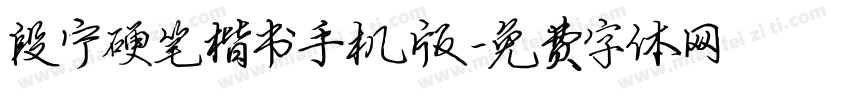 段宁硬笔楷书手机版字体转换