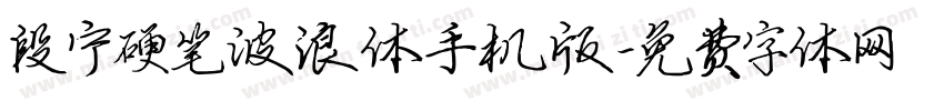 段宁硬笔波浪体手机版字体转换