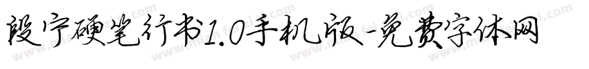 段宁硬笔行书1.0手机版字体转换