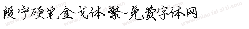 段宁硬笔金戈体繁字体转换