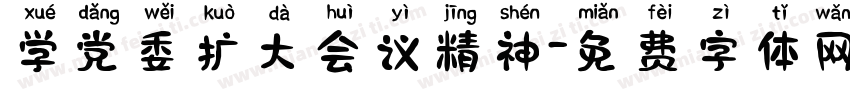 学党委扩大会议精神字体转换