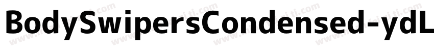 BodySwipersCondensed-ydL2字体转换