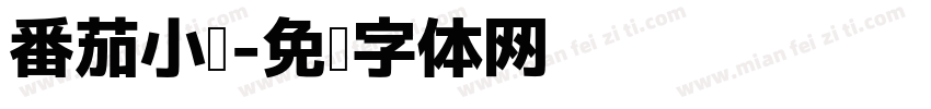 番茄小说字体转换