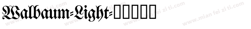 Walbaum-Light字体转换