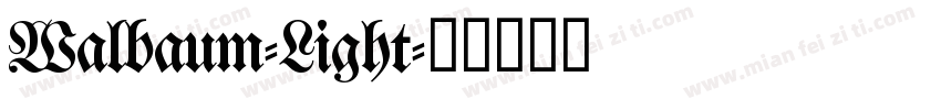 Walbaum-Light字体转换